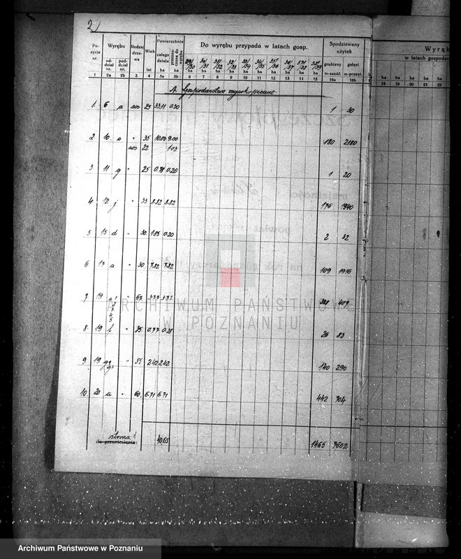 Obraz 6 z jednostki "Nadzór nad gospodarką leśną majątku Sławno powiat czarnkowskim"