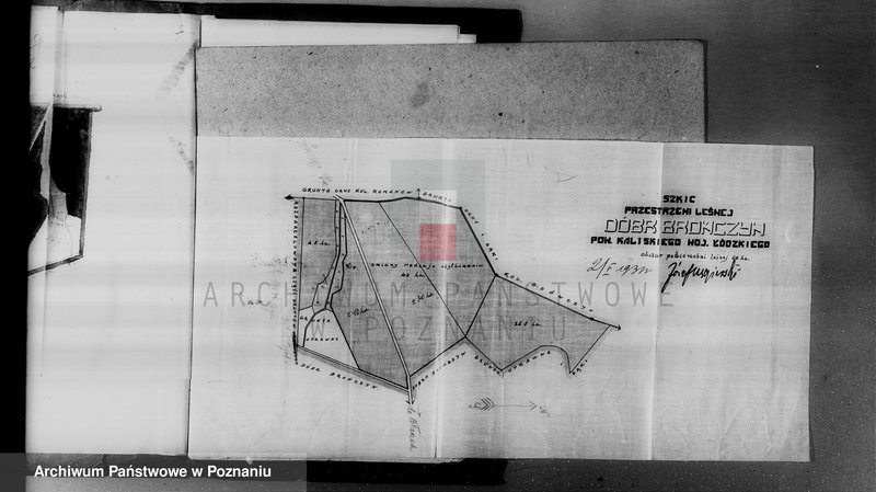 Obraz 17 z jednostki "Zmiana rodzaju użytkowania 40 ha gruntów leśnych w majątku Brańczyn w powiecie kaliskim"