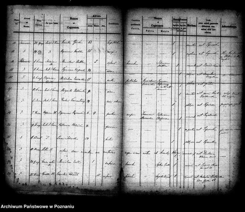 Obraz 3 z jednostki "Księga zgonów"