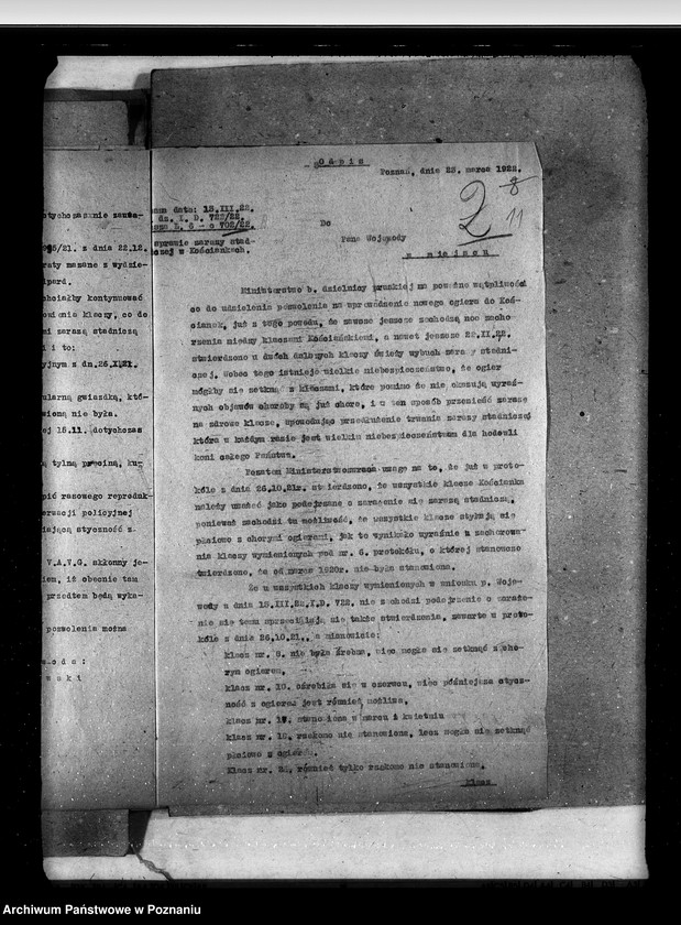 Obraz 16 z jednostki "Zaraza stadnicza"