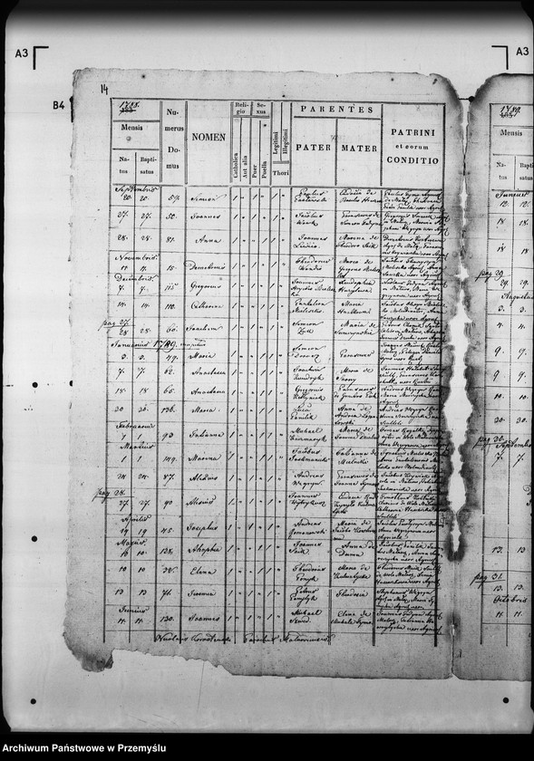 Obraz 19 z jednostki "[Kopie ksiąg metrykalnych parafii Małnów (dekanat Mościska)]"