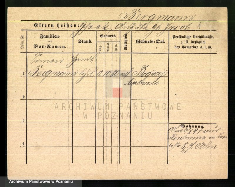 Obraz 3 z jednostki "Bergmann - Bernauer"