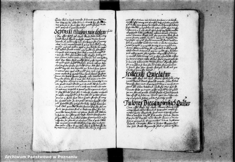 Obraz 11 z jednostki "Inscriptiones [inducta]"