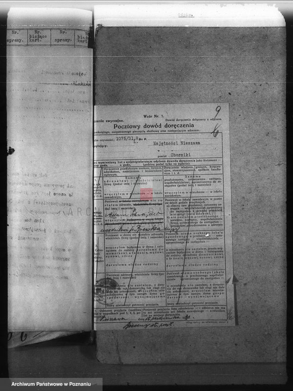 Obraz 13 z jednostki "Nadzór nad gospodarką w lasach majętności Nieszawa powiat obornicki"