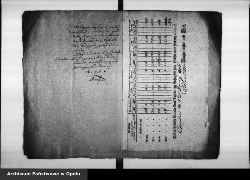 Obraz 7 z jednostki "Acta des Magistrats zu Oppeln von Monatlichen Zeitungs Berichte der Preiss Tabelle und diesfällige Corespondence Vol. XI angefangen im Juny 1806 bis ult[imo] Dec[ember] 1810"
