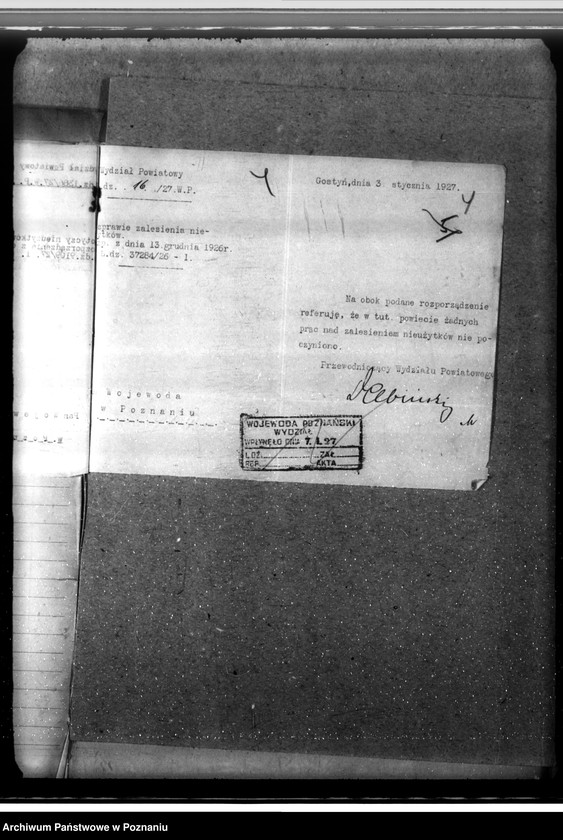 Obraz 8 z jednostki "Zalesienie nieużytków w powiecie gostyńskim"