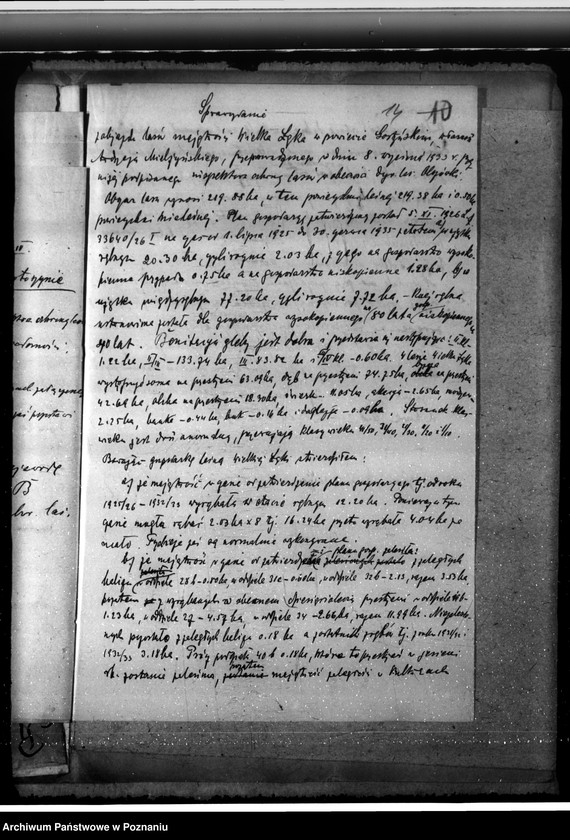 Obraz 18 z jednostki "Majętność leśna Łąka Wielka"