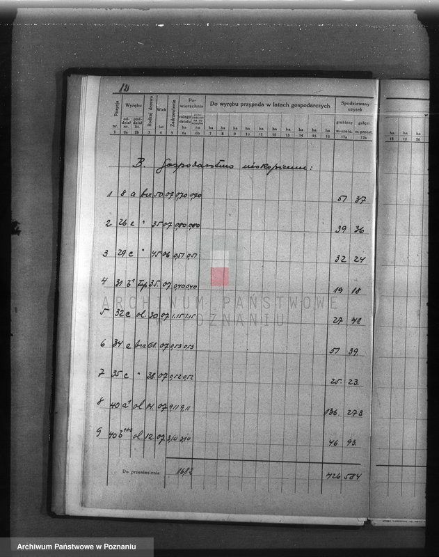 Obraz 16 z jednostki "Plan urządzenia gospodarstwa leśnego dla lasu majętności Wąsowo w powiecie nowotomyskim 1933-1943"