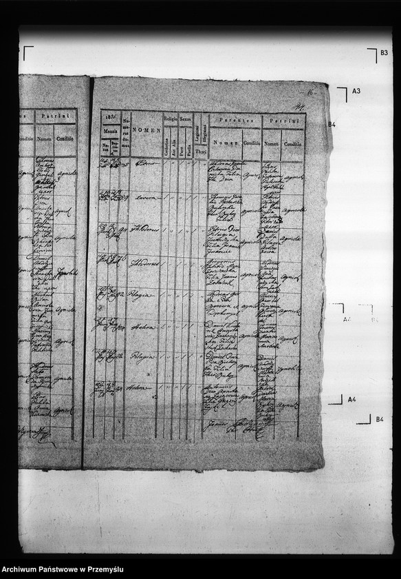 Obraz 20 z jednostki "[Kopie ksiąg metrykalnych parafii Hruszów z filiami Budomierz, Kłonice, Szczepłoty (dekanat Niemirów)]"