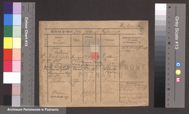 Obraz 1 z jednostki "Hajdrowski - Hajmrat (Hai..)"