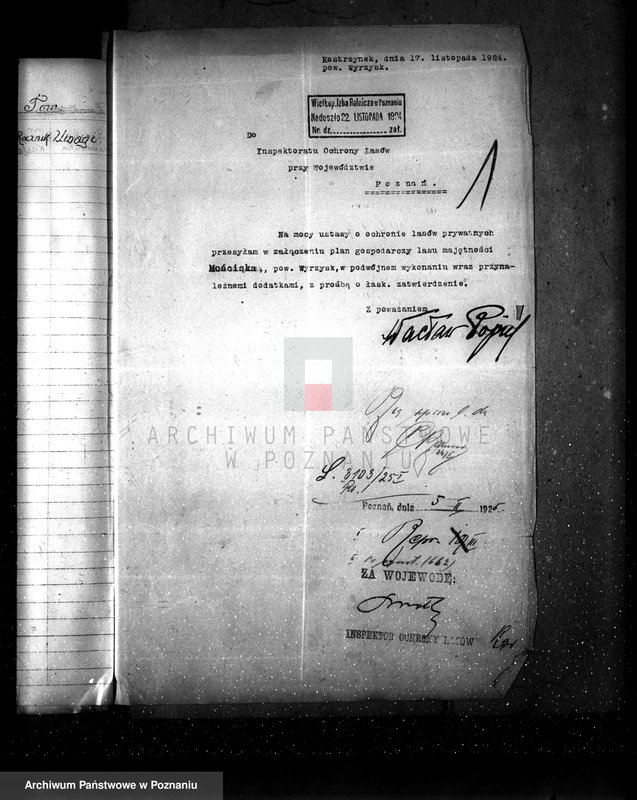 Obraz 5 z jednostki "Majętność leśna Kostrzynek-Mościska powiat wyrzyski"