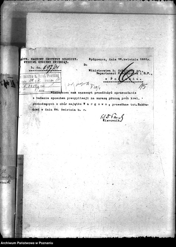 Obraz 19 z jednostki "Zaraza płucna - Oborniki"