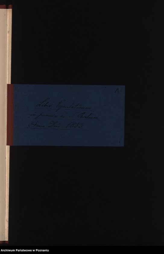 Obraz 3 z jednostki "Duplicat copulatorum"