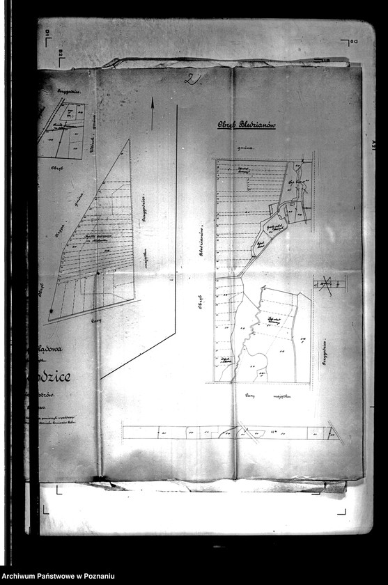 Obraz 7 z jednostki "Tymczasowy rejestr pomiarowy części majątku Przygodzice powiatu ostrowskiego"