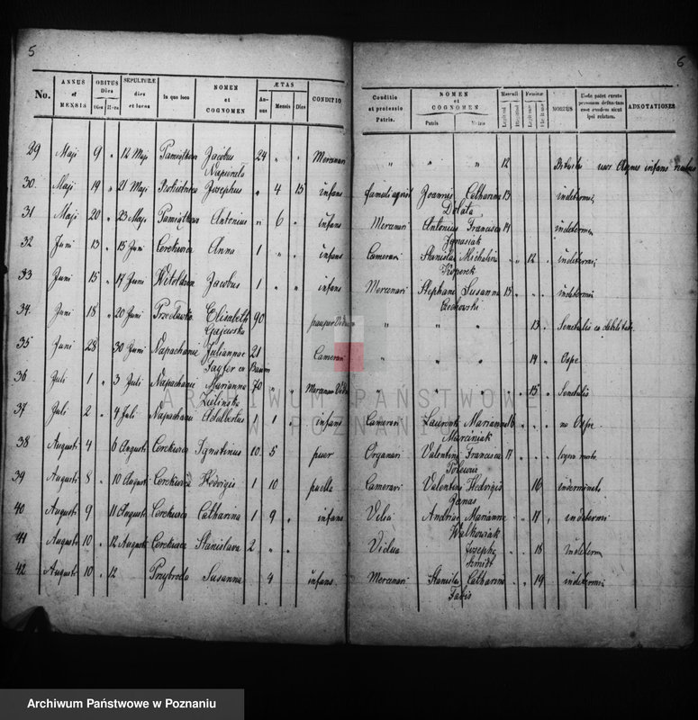 Obraz 5 z jednostki "Liber mortuorum"