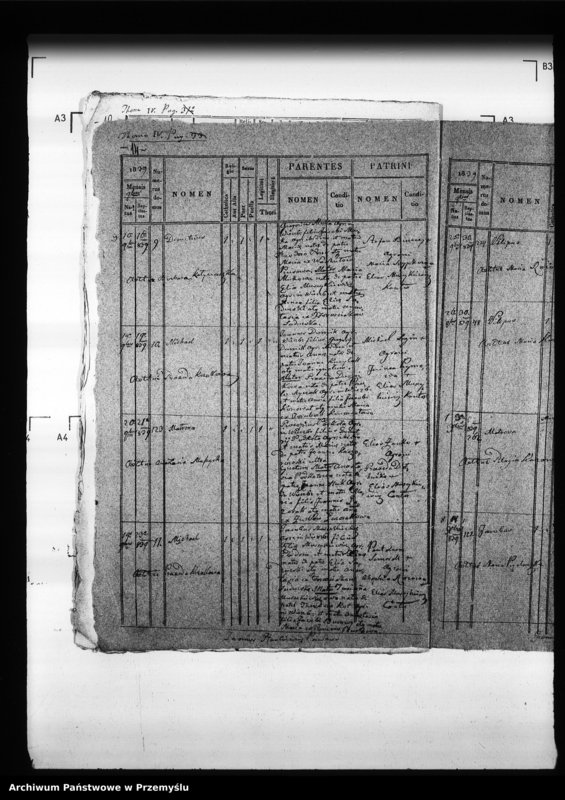 Obraz 19 z jednostki "[Kopie ksiąg metrykalnych parafii Wierzbiany (dekanat Niemirów)]"