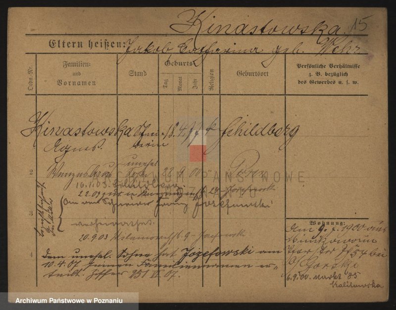 Obraz 15 z jednostki "Kinastowski - Kinowski"