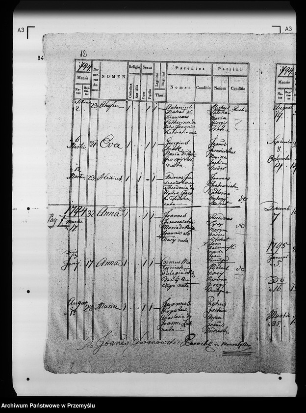 Obraz 16 z jednostki "[Kopie ksiąg metrykalnych parafii Manasterzec z filiami Mosty, Terszaków (dekanat Komarno)]"
