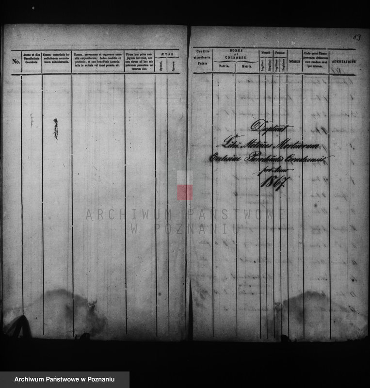 Obraz 10 z jednostki "Duplikat baptisatorum, copulatorum, mortuorum"