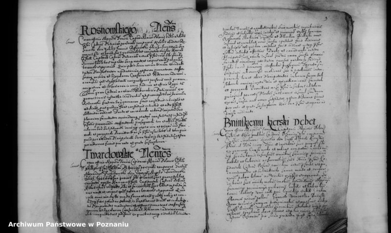 Obraz 17 z jednostki "Inscriptiones [inducta]"