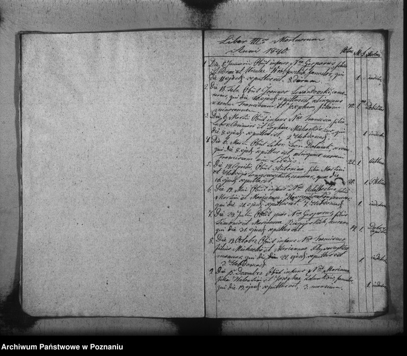 Obraz 9 z jednostki "Duplikat baptisatorum, copulatorum, mortuorum"