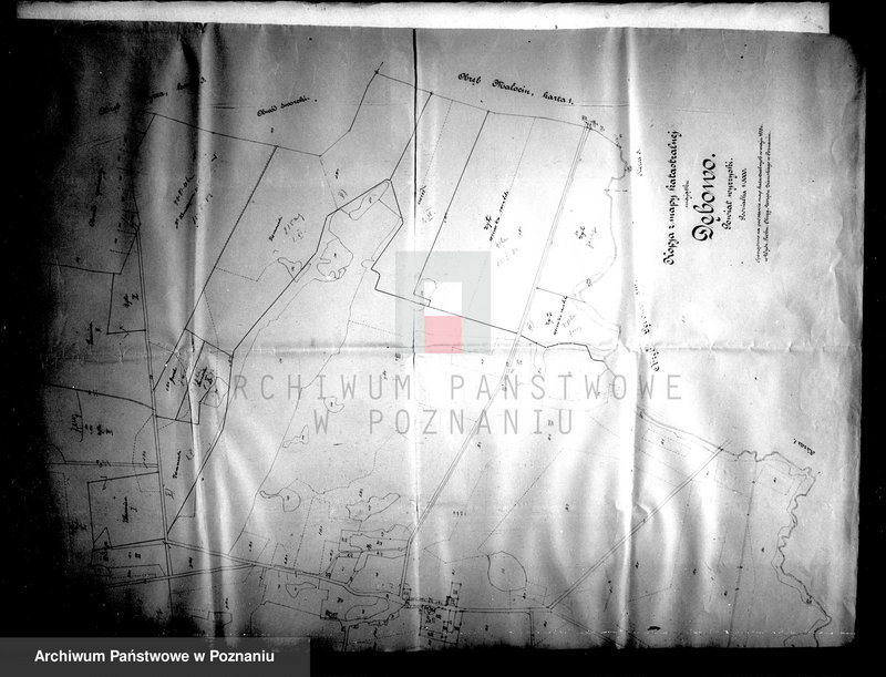 Obraz 8 z jednostki "Majątek Dębowo powiatu wyrzyskiego parcelacja rządowa"