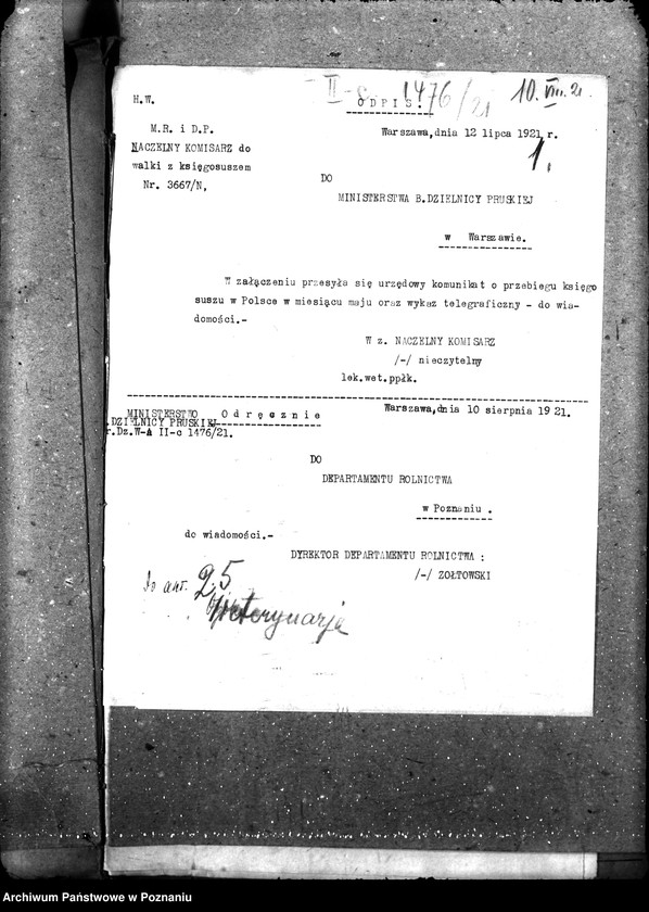 Obraz 5 z jednostki "Weterynaria"