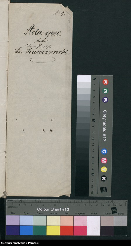 Obraz 4 z jednostki "A. betr. Leo Ruszczyński, Probst in Dobrzyca"