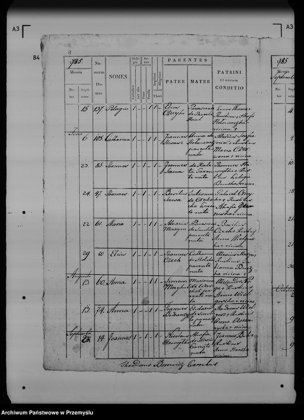 Obraz 8 z jednostki "[Kopie ksiąg metrykalnych parafii Ostrów z filiami Łowce, Morawsko, Tuczempy (dekanat Radymno)]"