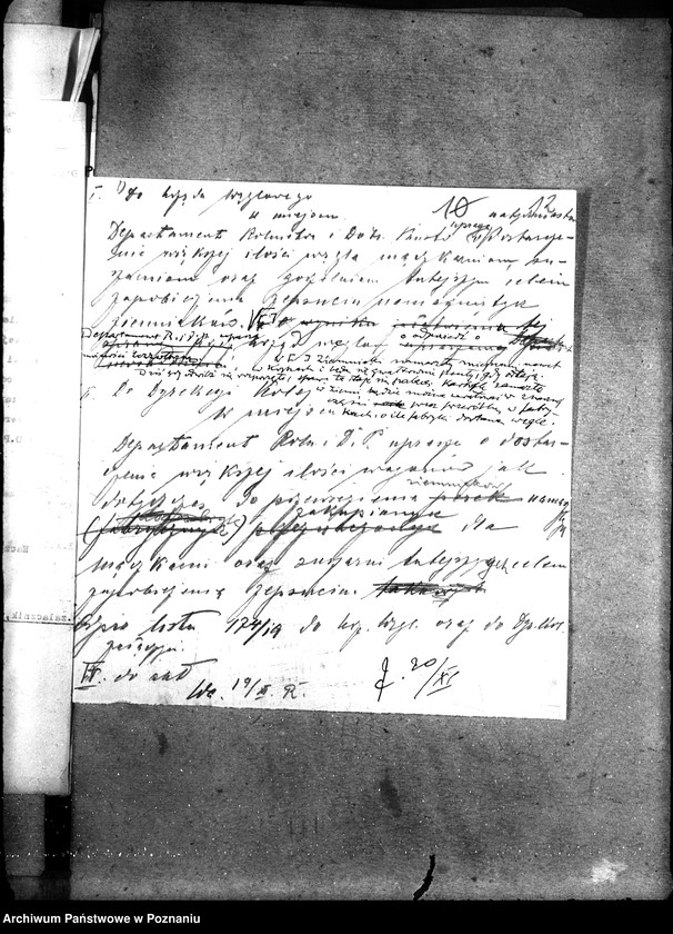 Obraz 16 z jednostki "Kartofle"