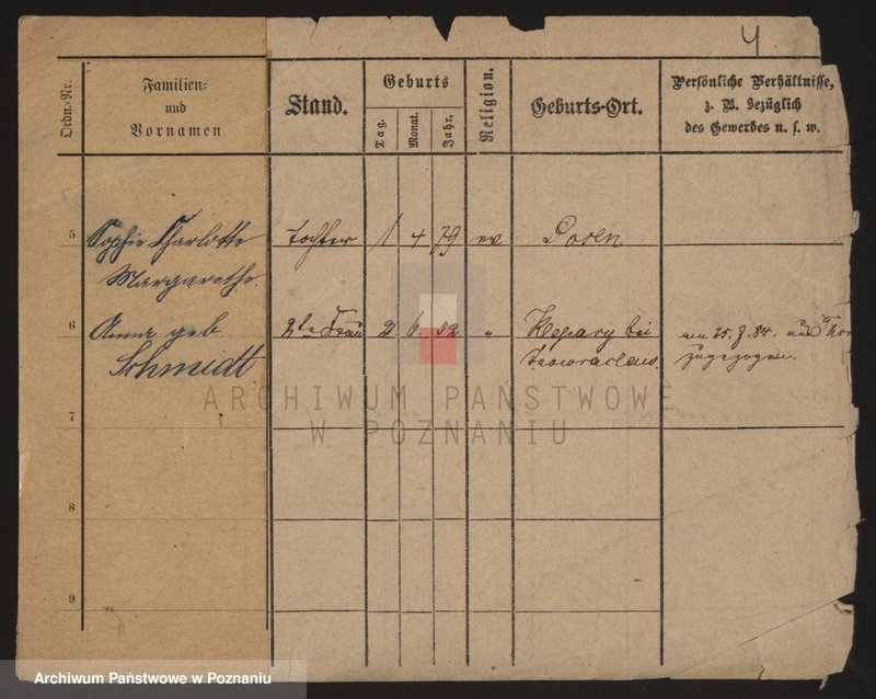 Obraz 11 z jednostki "Szmidt (żonaci)"