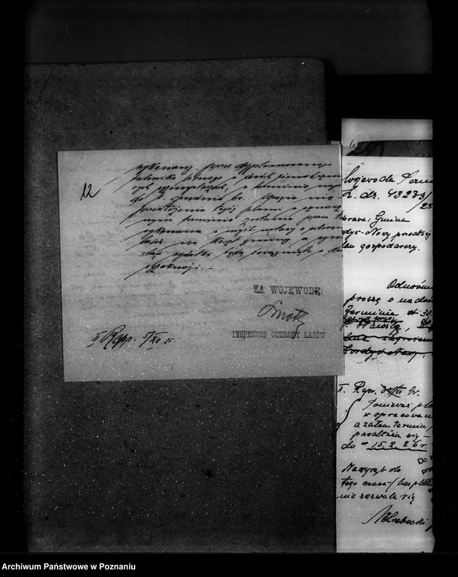 Obraz 16 z jednostki "Las gromady Żodyń Nowy powiat wolsztyński"