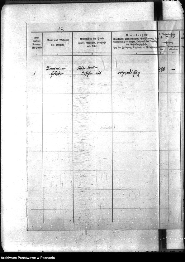 Obraz 17 z jednostki "Nosacizna - Kościan"