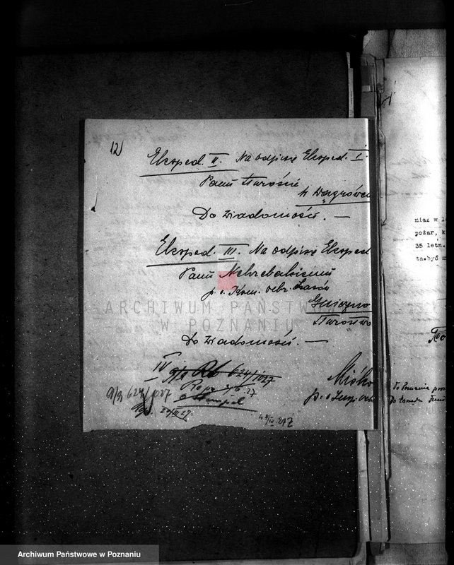 image.from.unit.number "Majętność leśna Przysieka powiat wągrowiecki"