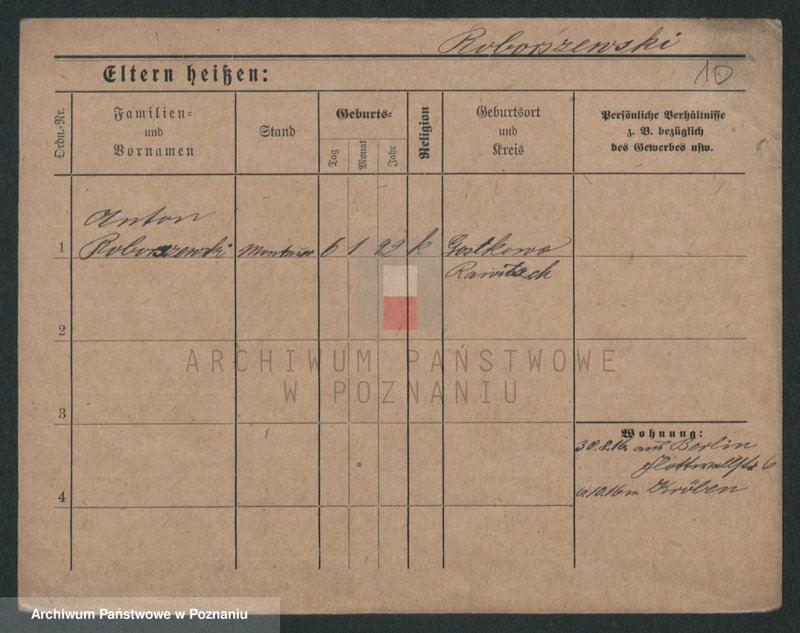 Obraz 12 z jednostki "Robinson - Rodziewicz"