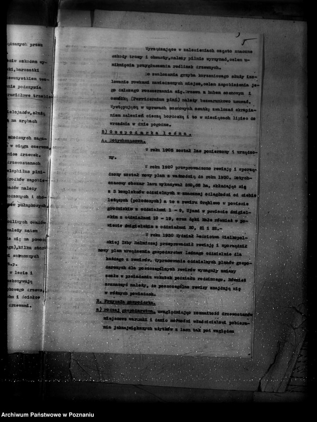 Obraz 9 z jednostki "Majętność Ujazd Rewir Ujazd powiat kościański /Plan urządzania gospodarstwa leśnego/"