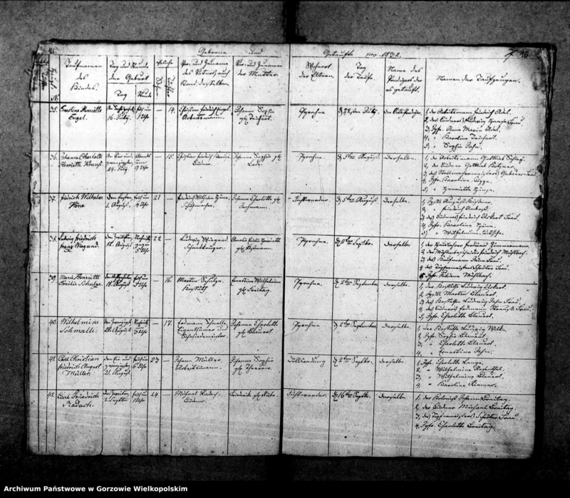 Obraz 12 z jednostki "Duplikate der Kirchenbücher von Pyrehne (Pyrzany): Pyrehne (Pyrzany), Woxholländer (Oksza), Logau (Łagów), Schützensorge (Kłopotowo), Pyrehner Holländer (Pyrzanki), Gross Rehne (Rań), Enterwerder (Kownatki), Stremeltswerder, Radewiesen (Zagajno), Ludwigshof (Okrąglica)."