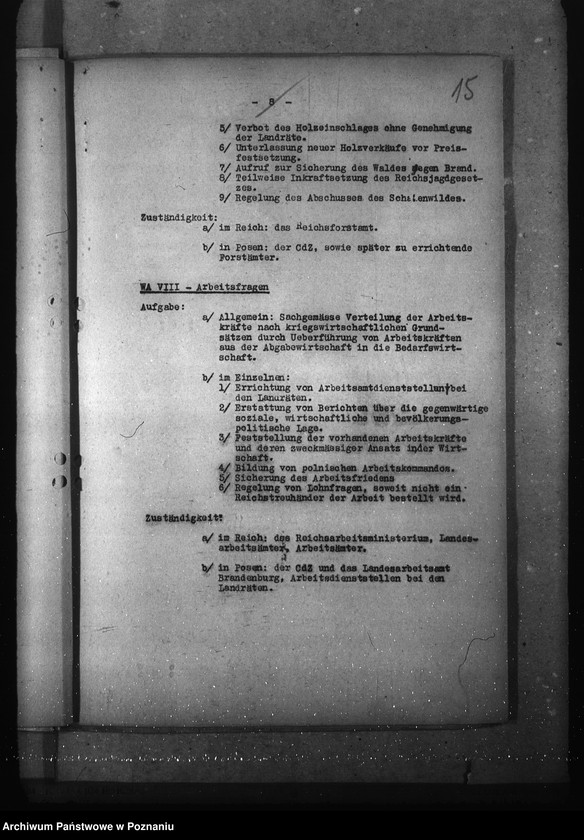 Obraz 19 z jednostki "Podziały czynności w wydziałach oraz przybudówkach urzędu namiestnika"