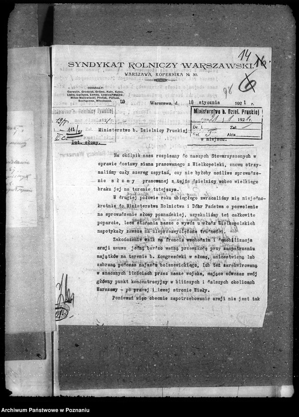 Obraz 18 z jednostki "Słoma i siano"