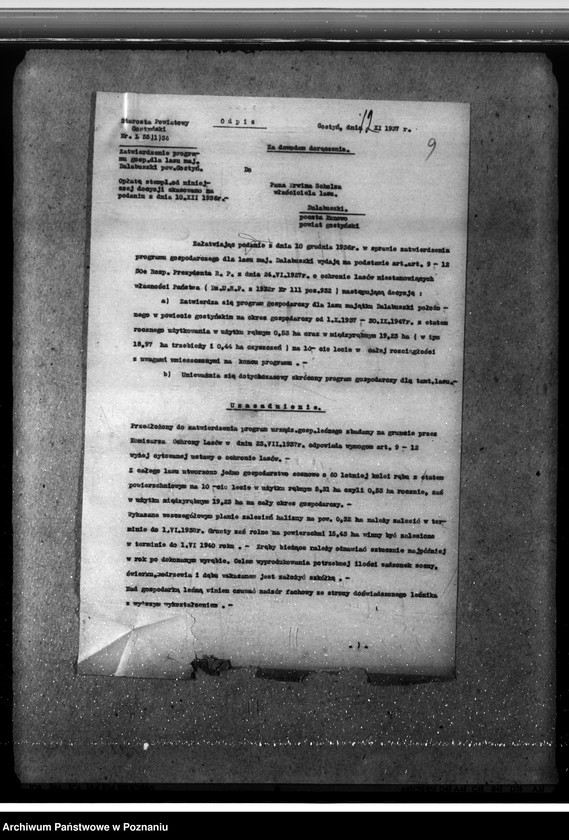 Obraz 13 z jednostki "Las majętności Dalabuszki powiat gostyński"