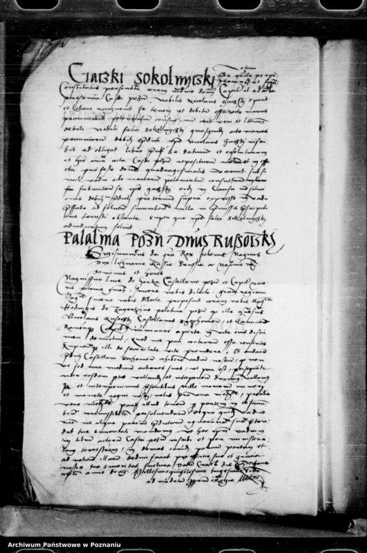 Obraz 16 z jednostki "Inscriptiones, relationes, decreta [inducta]"