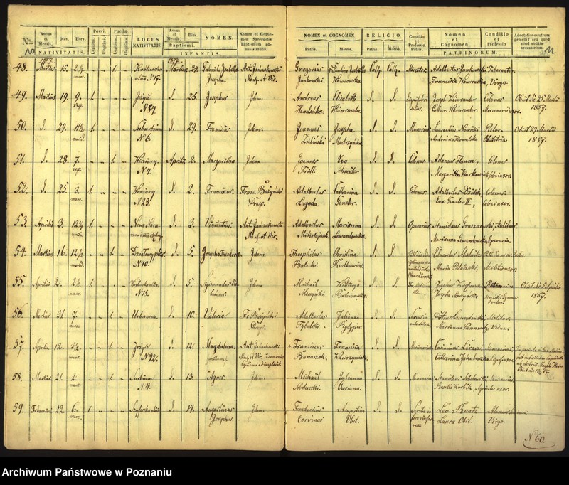 Obraz 8 z jednostki "Księga urodzin"