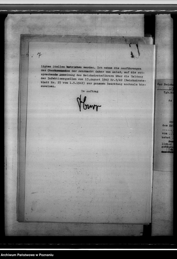 Obraz 11 z jednostki "Zarządzenia w sprawie zwalczania prostytucji i chorób wenerycznych"