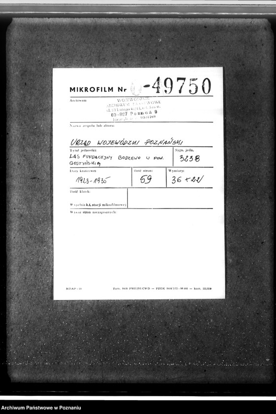 Obraz 2 z jednostki "Las fundacyjny Bodzewo w powiecie gostyńskim"