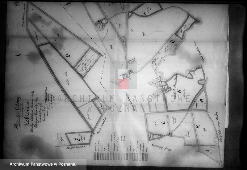 Obraz 11 z jednostki "Rejestr pomiarowy zasiewów i upraw majątku Łobżenice powiatu wyrzyskiego"