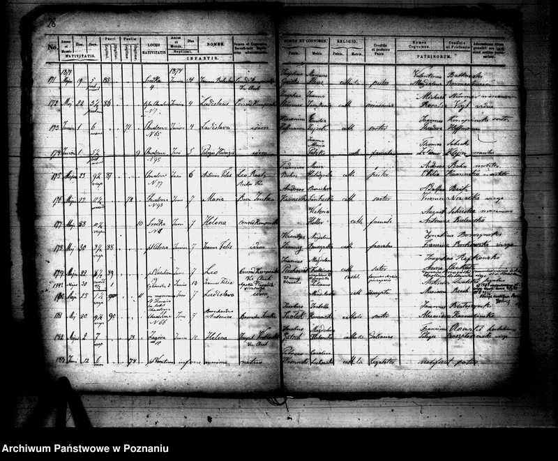 Obraz 16 z jednostki "Księga urodzeń"