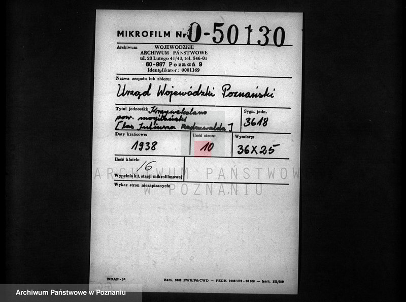 Obraz 2 z jednostki "Krzywekolano powiat mogileński /las Juliuszy Rodenwalda/"