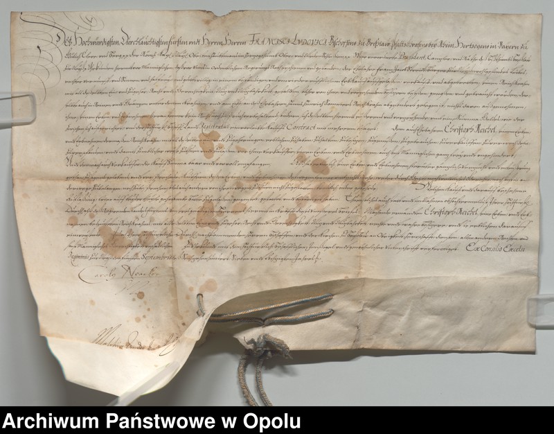 Obraz z jednostki "Pełnomocnicy Franciszka Ludwika biskupa wrocławskiego potwierdzają że Franciszek Jakub Streidt sprzedał kram Krzysztofowi Reichelowi 1687, 5 IX Neyss"