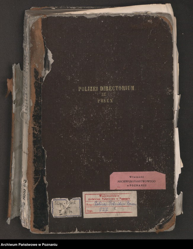 Obraz 2 z jednostki "Anklage - Schrift im Polenprozess 1864"