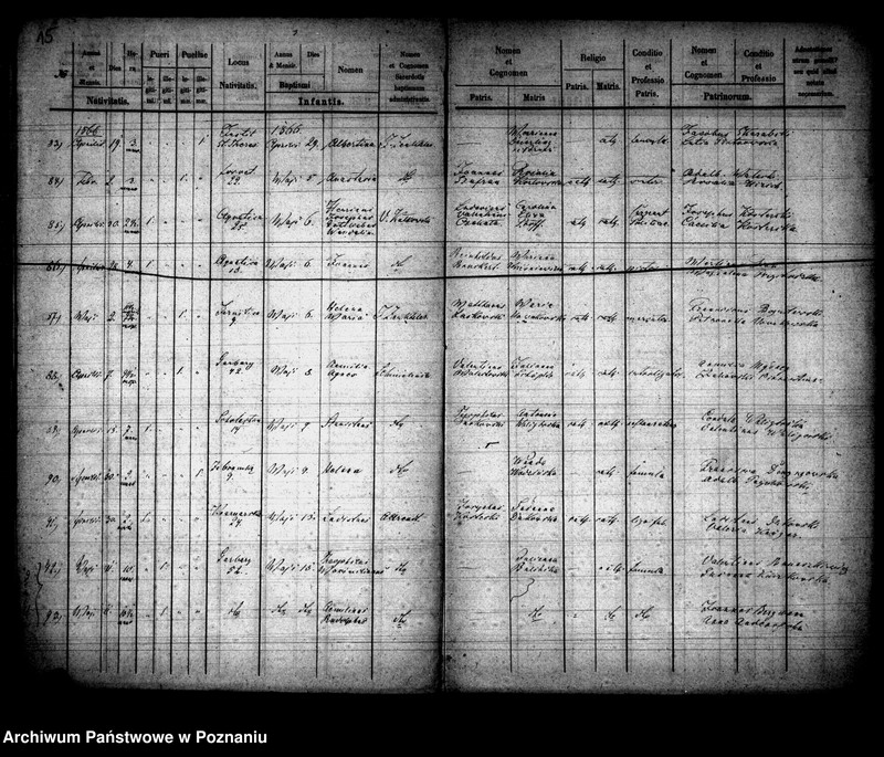 Obraz 9 z jednostki "Księga urodzin"